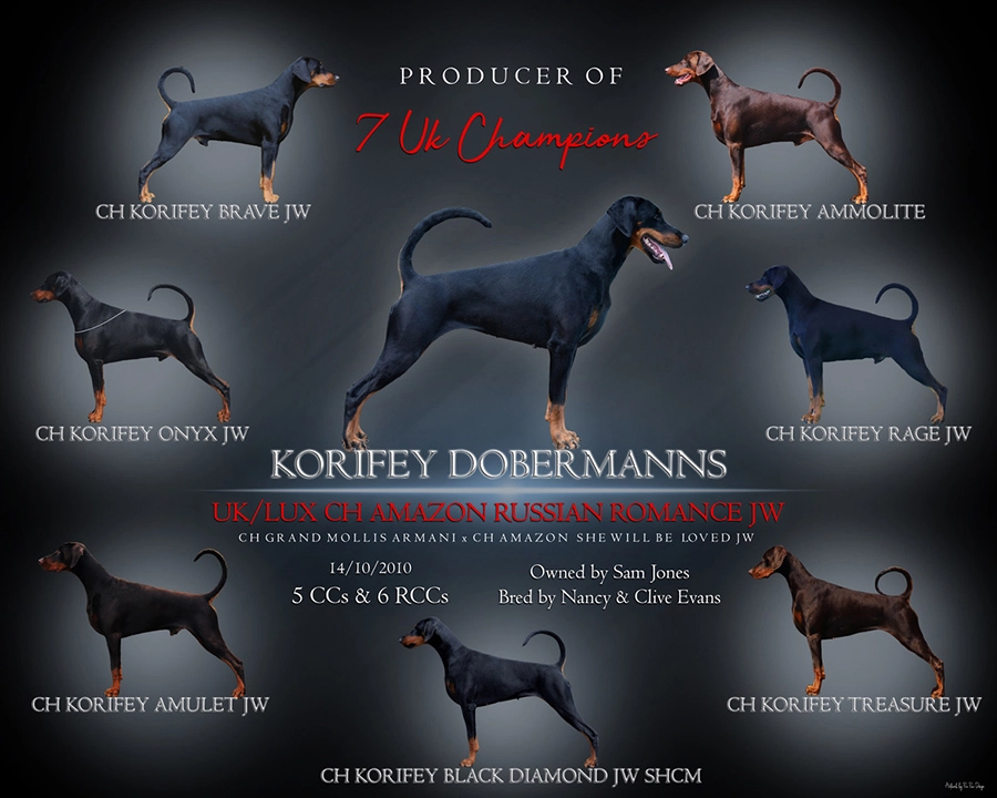 Korifey Dobermanns adverts